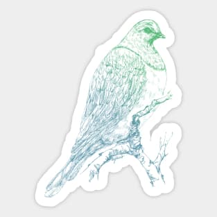 Mr Kereru, New Zealand wood pigeon Sticker